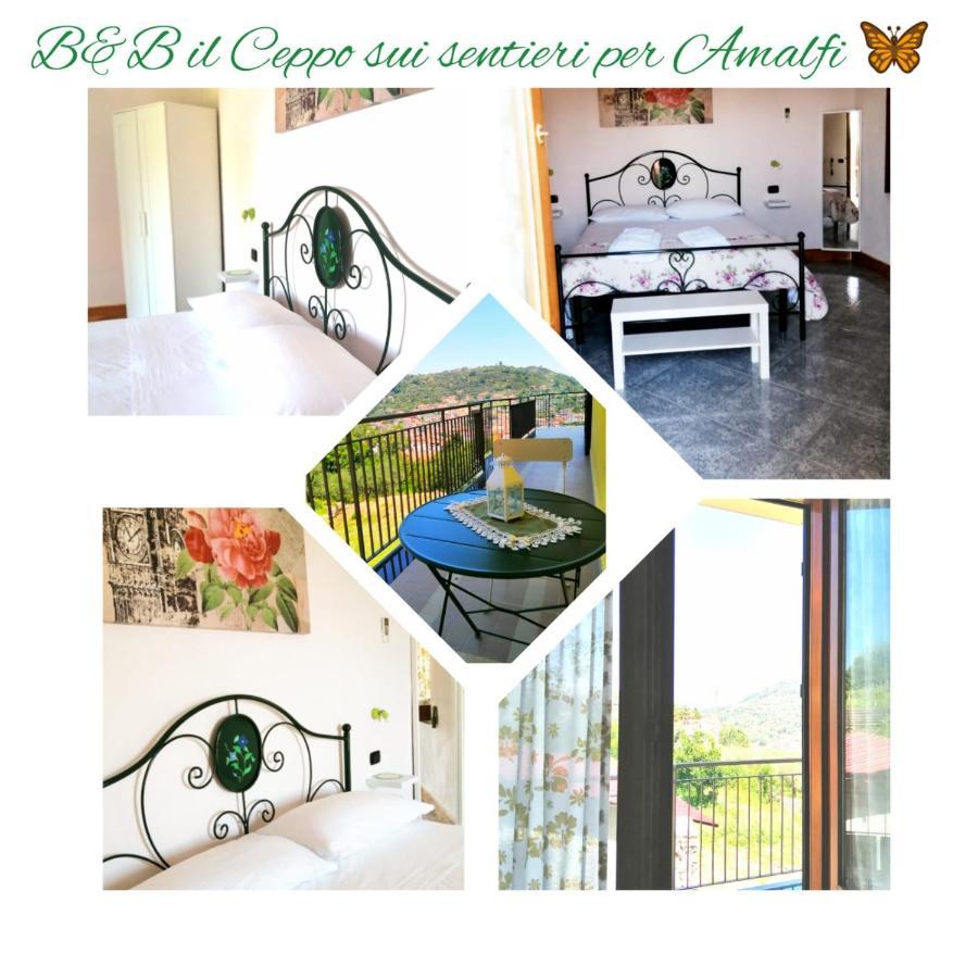 Il Ceppo Sui Sentieri Per Amalfi Bed and Breakfast Pimonte Buitenkant foto